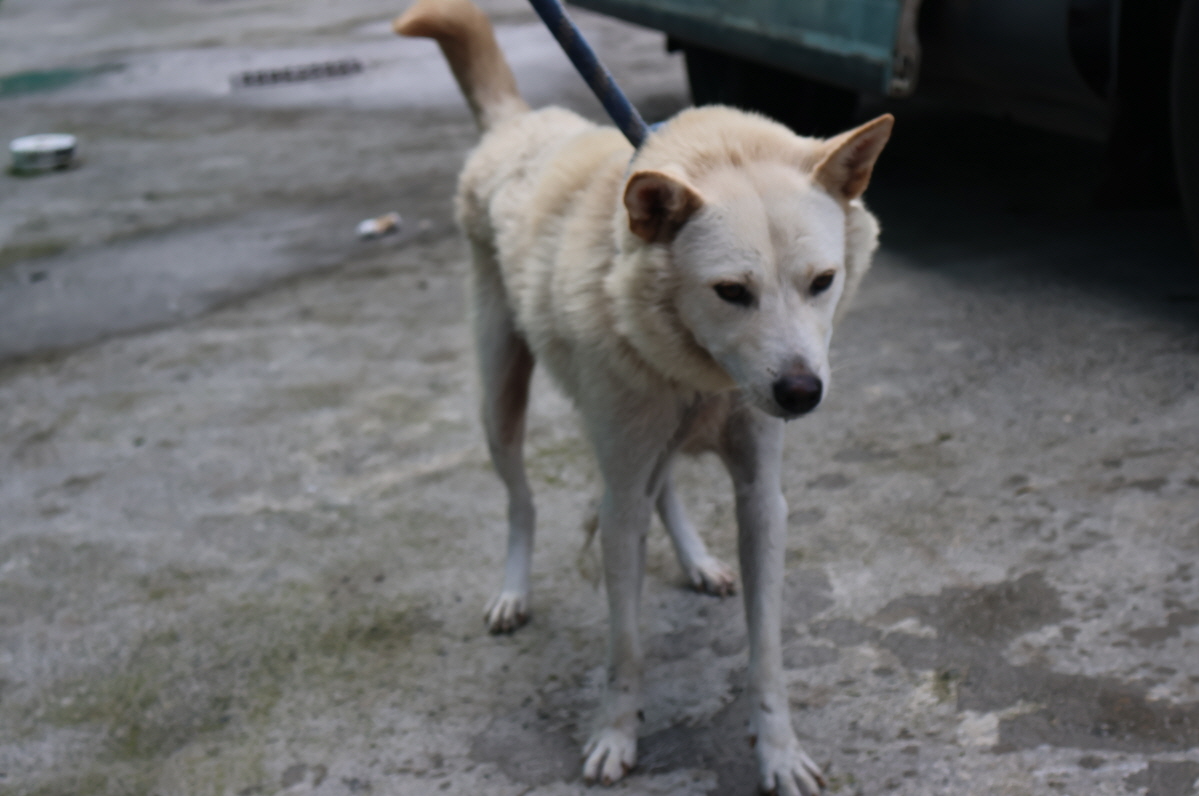 제주 동물보호센터_450650202302925