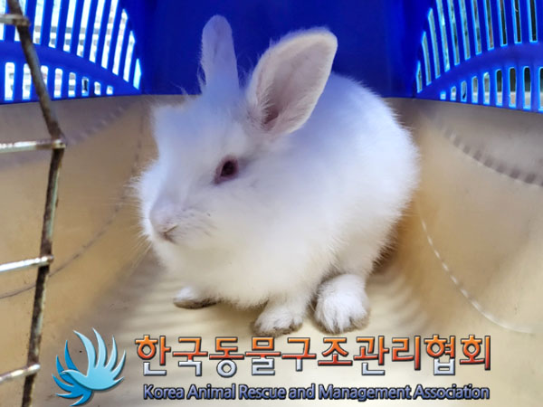 한국동물구조관리협회_441559202300862