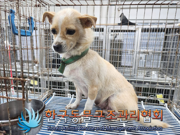 한국동물구조관리협회_441560202300998