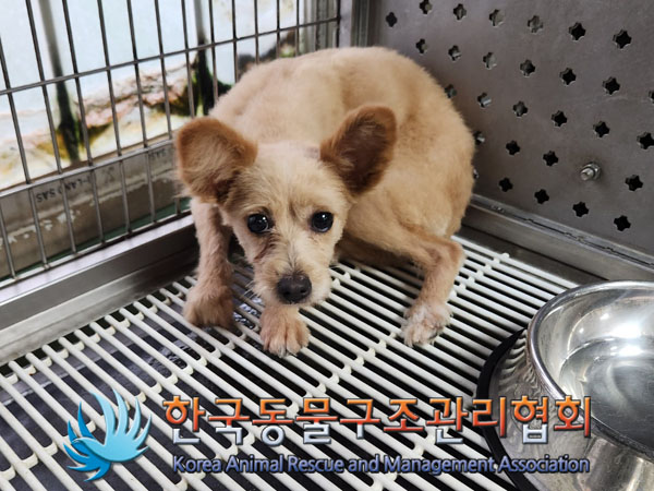 한국동물구조관리협회_441559202300861