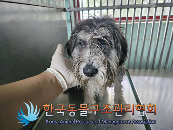 한국동물구조관리협회_441414202300624