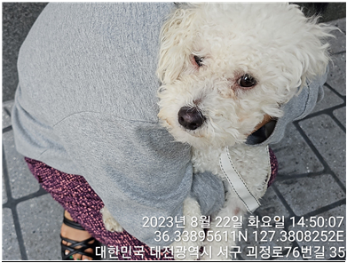대전동물보호센터_430366202300502