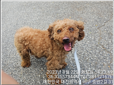 대전동물보호센터_430366202300503