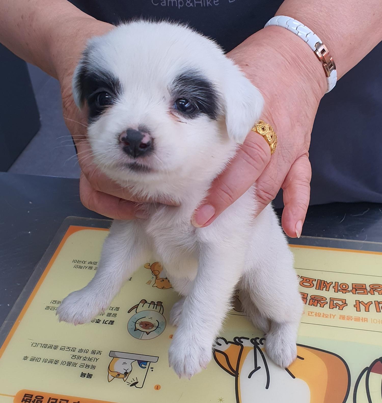 베스트동물병원_428357202300923