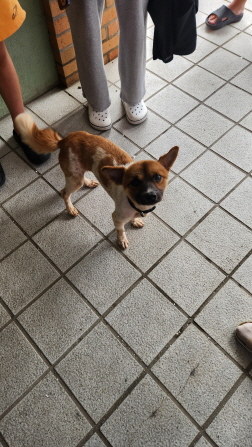 익산유기동물보호소_445468202301657