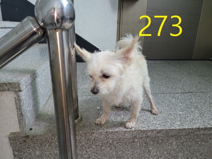 신영재동물병원_428355202300454