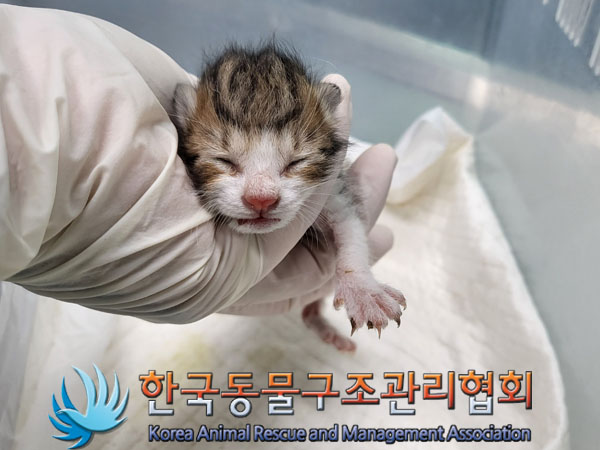 한국동물구조관리협회_411323202300764