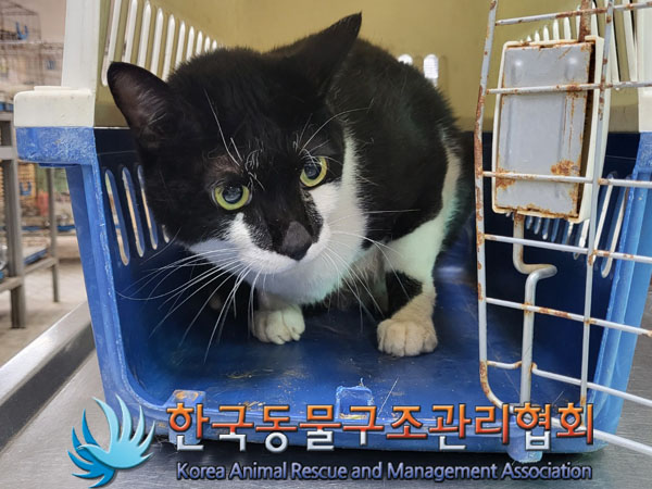 한국동물구조관리협회_411317202300229