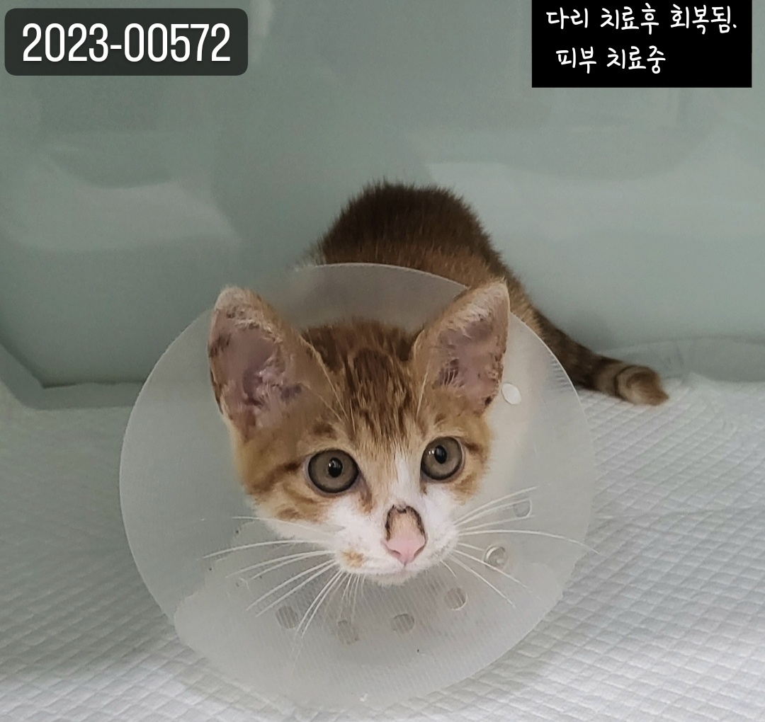 신세계동물병원_427346202300882