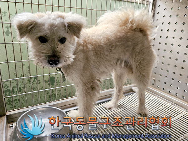 한국동물구조관리협회_441559202300869