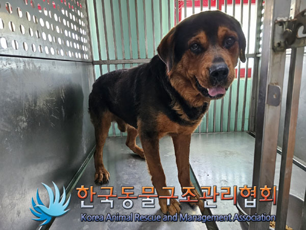 한국동물구조관리협회_441559202300870