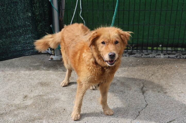 제주 동물보호센터_450650202302948