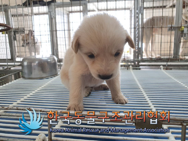 한국동물구조관리협회_441559202300878