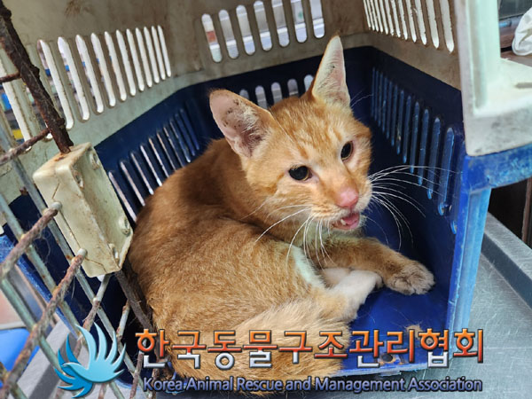 한국동물구조관리협회_441414202300630