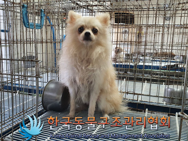 한국동물구조관리협회_411301202300382