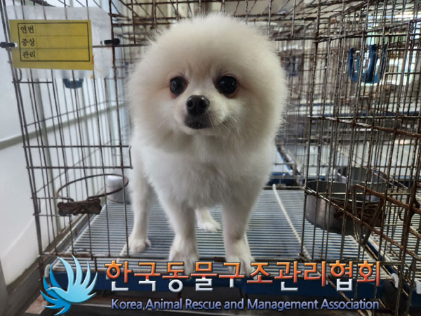 한국동물구조관리협회_411311202300644
