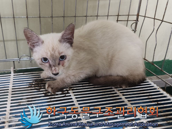 한국동물구조관리협회_411323202300766