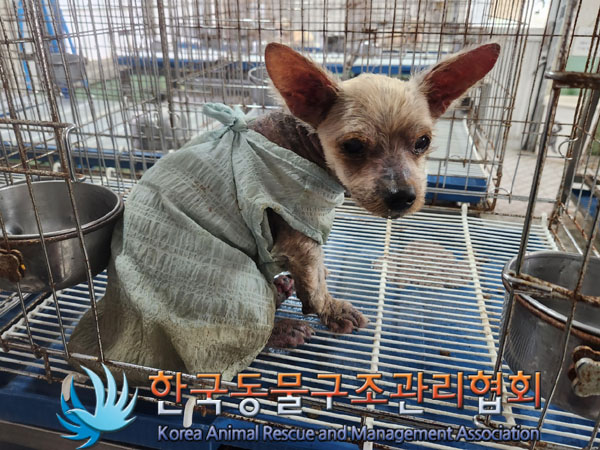 한국동물구조관리협회_411316202300560