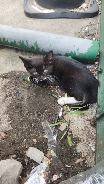 익산유기동물보호소_445468202301677