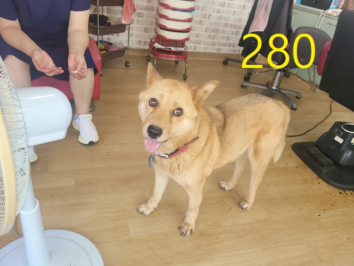 신영재동물병원_428355202300461