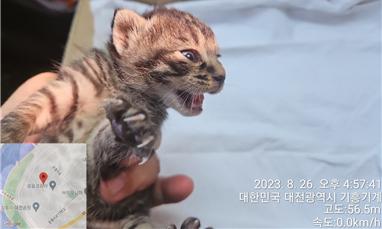 대전동물보호센터_430368202300418