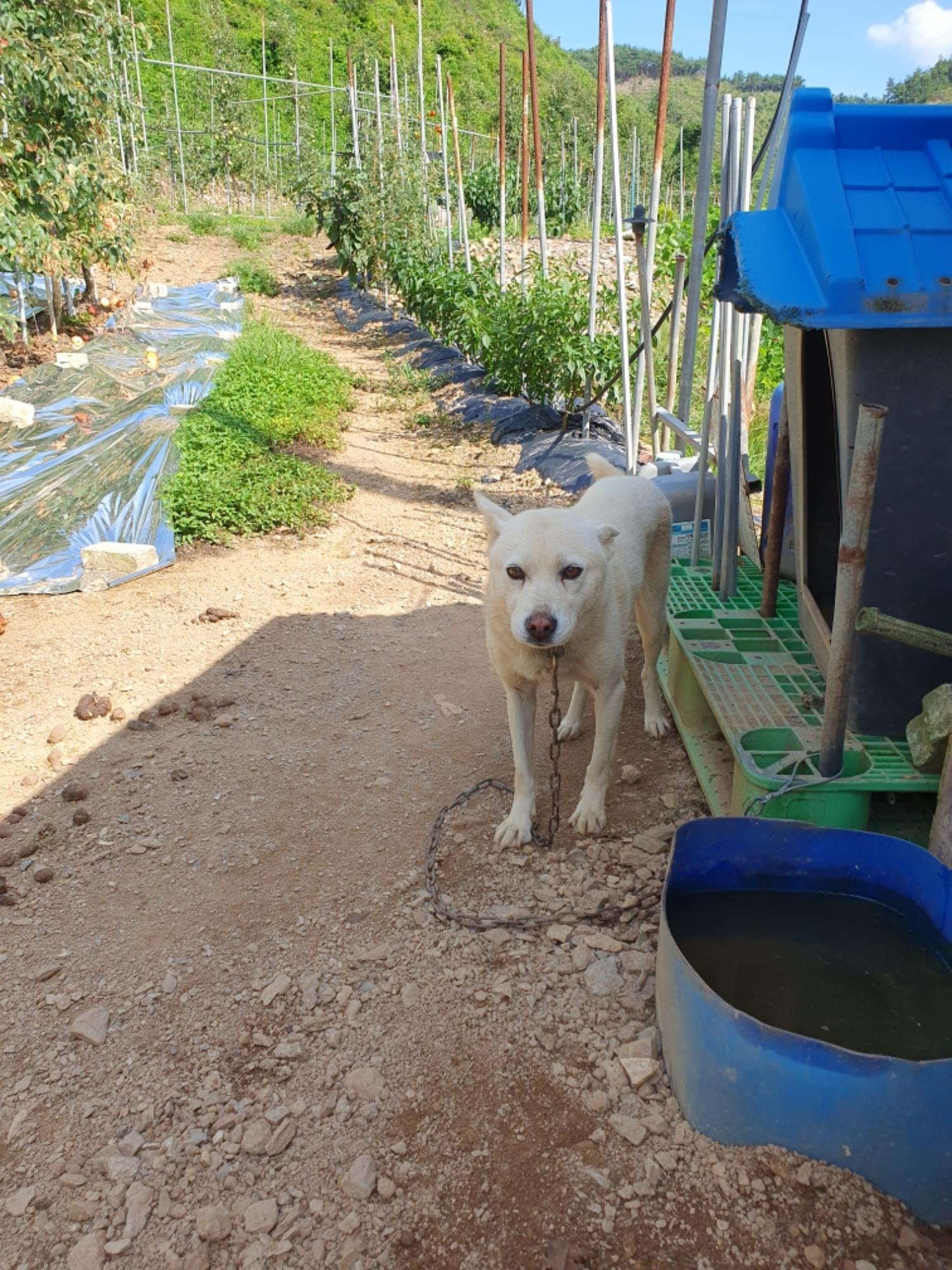 최종주동물병원_443444202300457