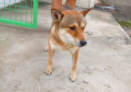 제일동물병원_444455202300265