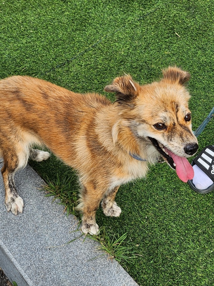 영주시 동물보호센터_447509202300190