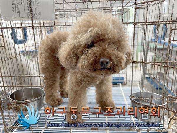 한국동물구조관리협회_411304202300531