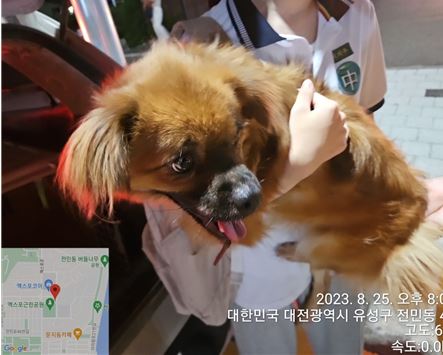 대전동물보호센터_430367202300537