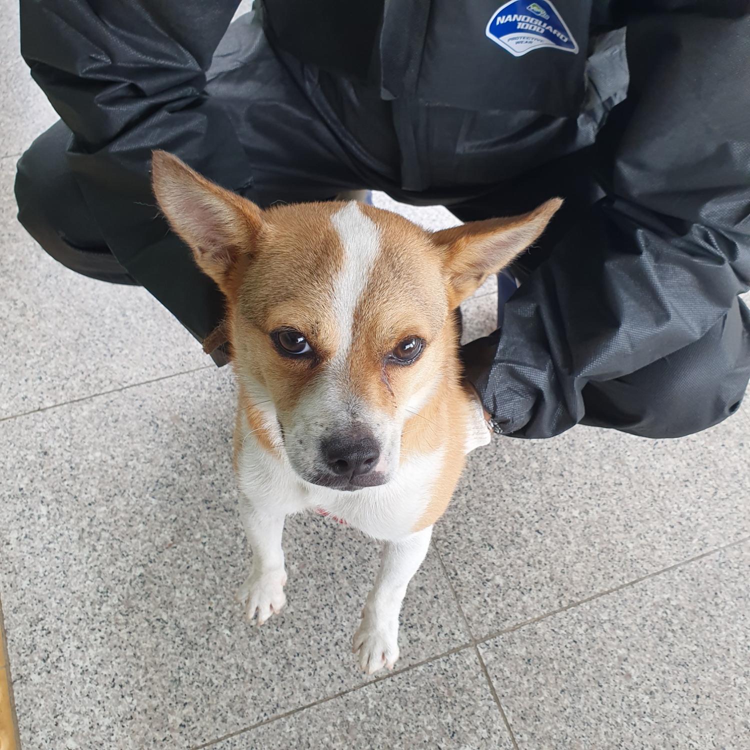 구미시 동물보호센터_447508202300846