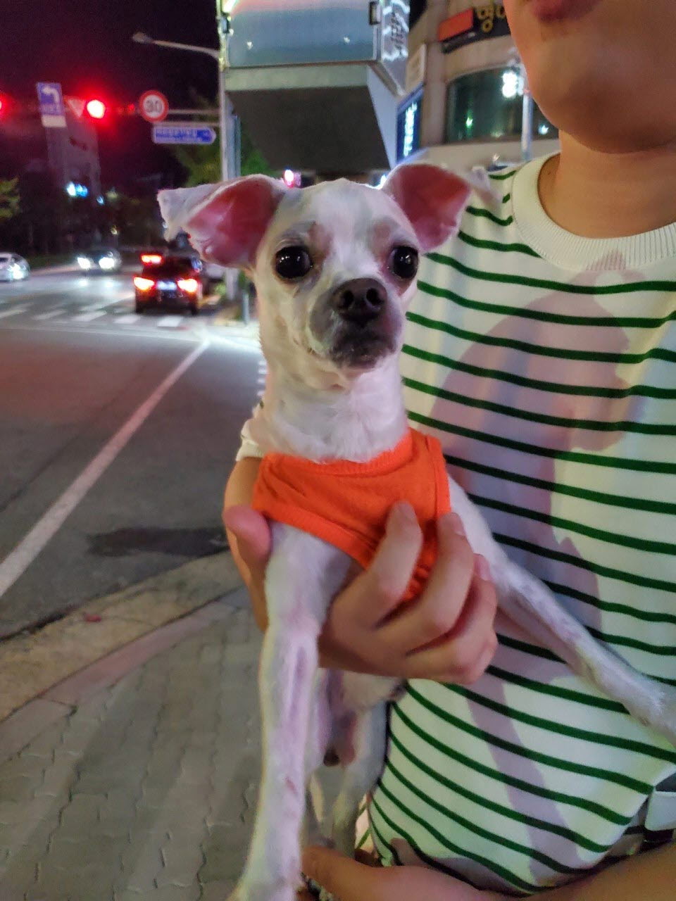 아산동물복지지원센터_444452202301651