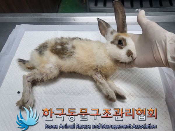 한국동물구조관리협회_441409202301347