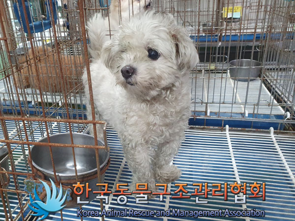한국동물구조관리협회_411304202300532