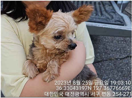 대전동물보호센터_430366202300508