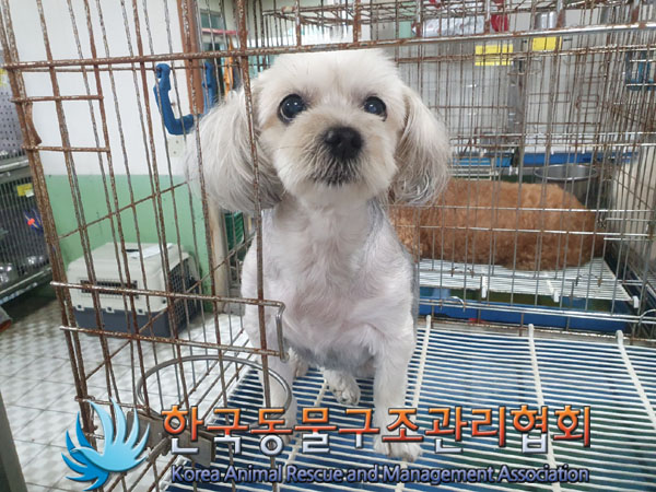 한국동물구조관리협회_411311202300645
