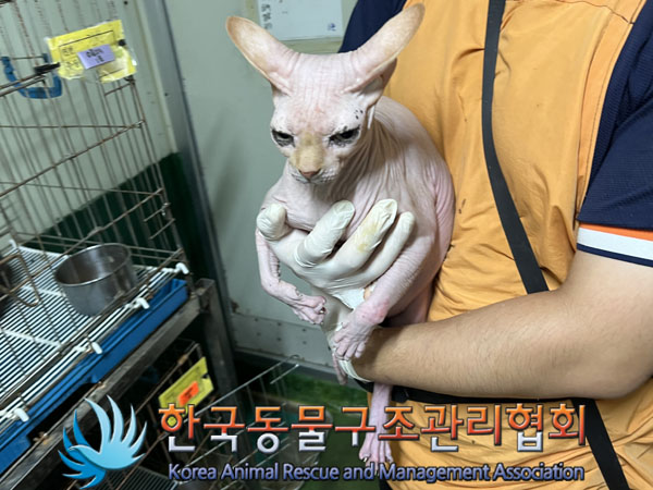 한국동물구조관리협회_411316202300570