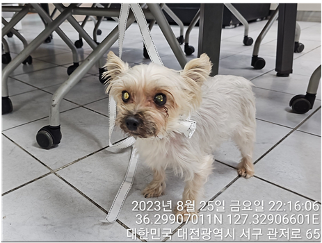 대전동물보호센터_430366202300509
