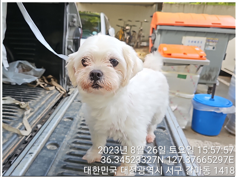 대전동물보호센터_430366202300512