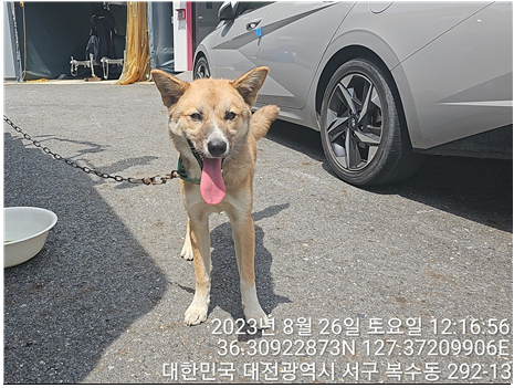 대전동물보호센터_430366202300510