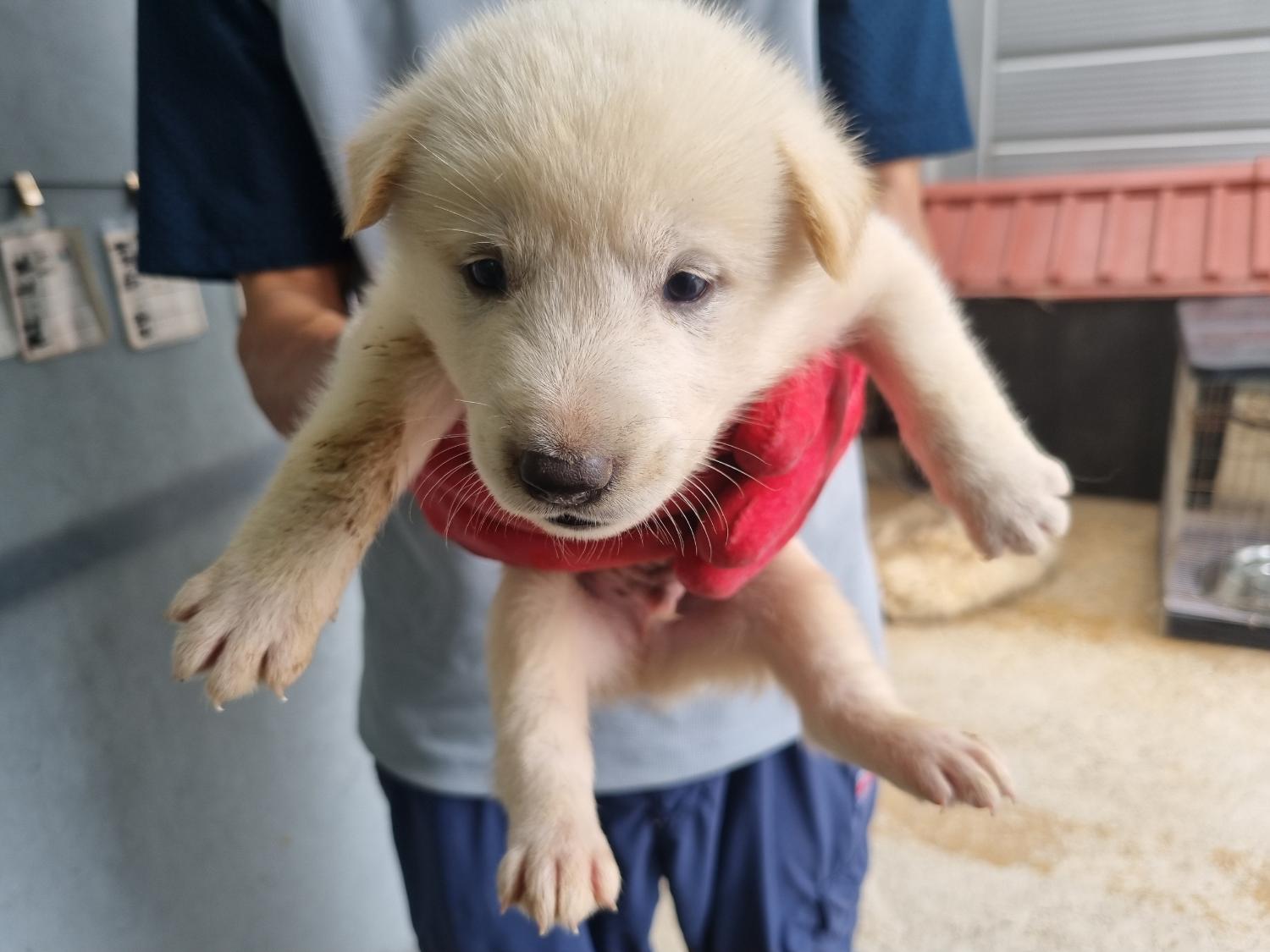 양산시 동물보호센터_448538202300476