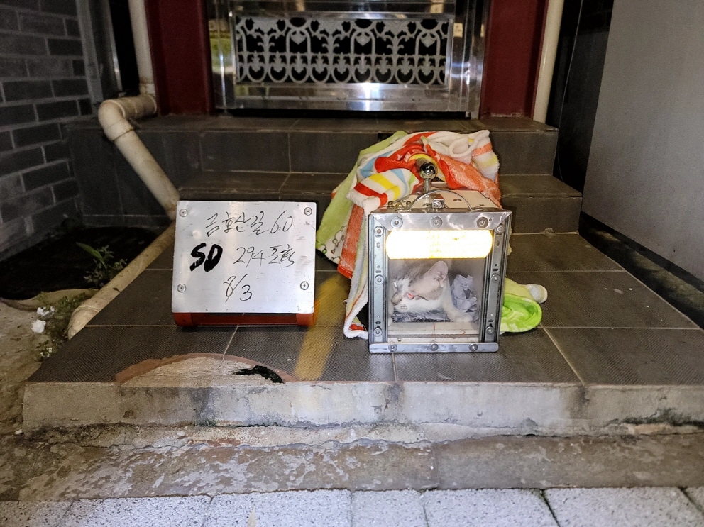 한빛동물병원_411303202300417