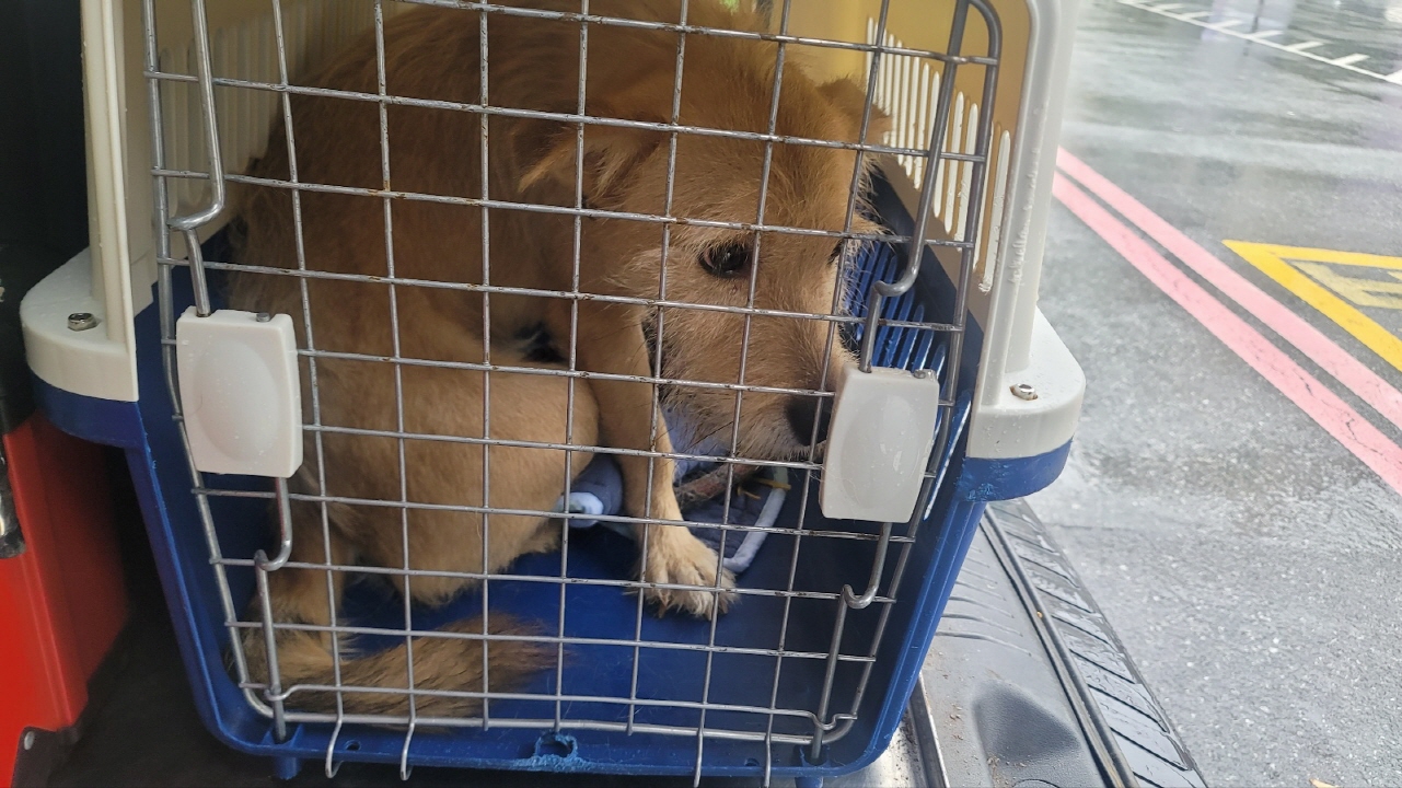 둔촌동물병원_411324202300481