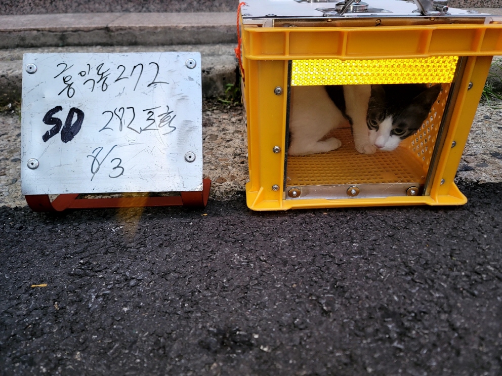 한빛동물병원_411303202300427