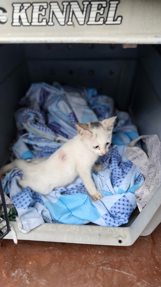 익산유기동물보호소_445468202301685