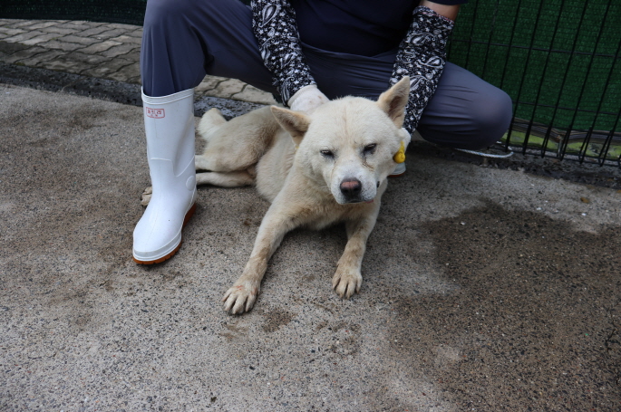 제주 동물보호센터_450650202302975