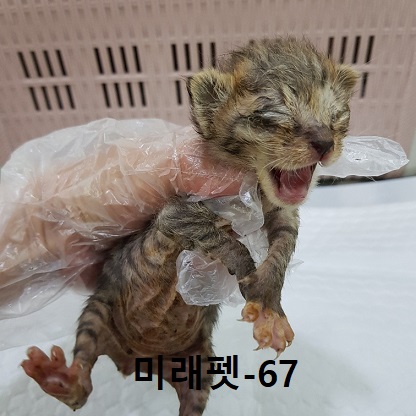 종료(자연사) 한국…