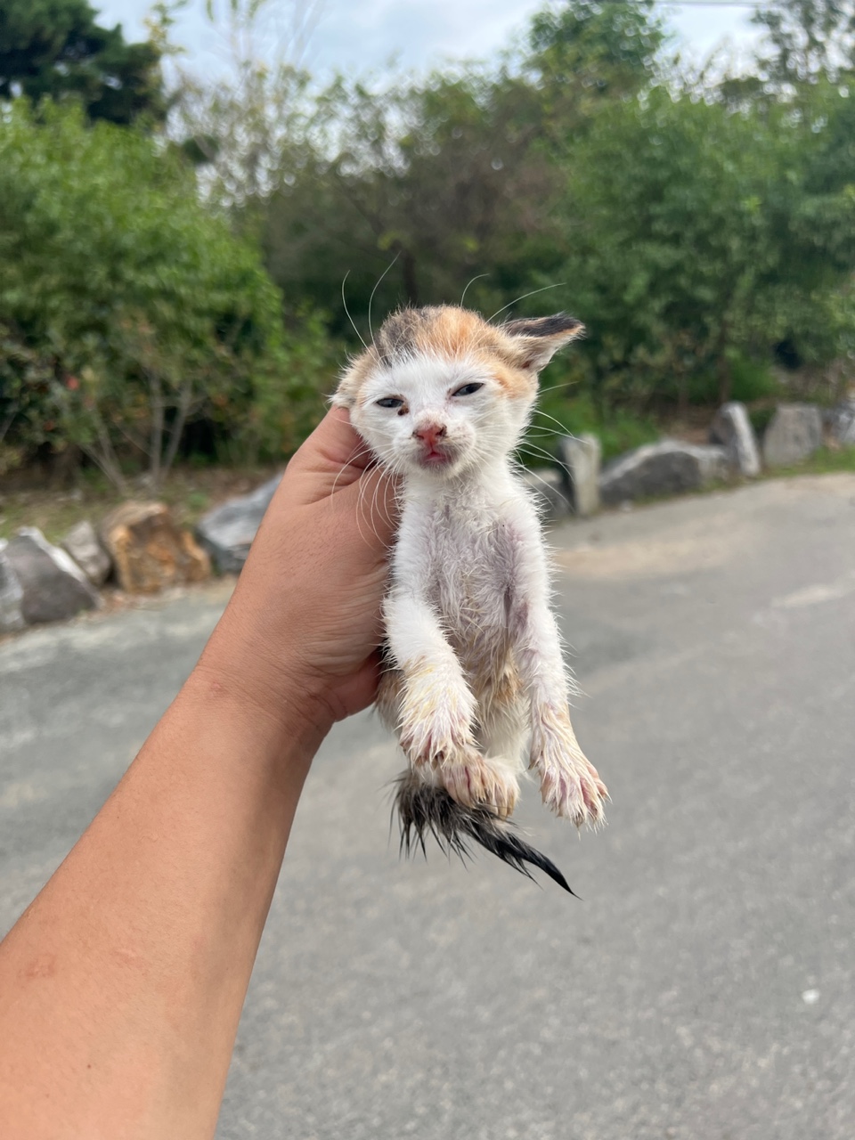 부산동물보호센터_426332202300464