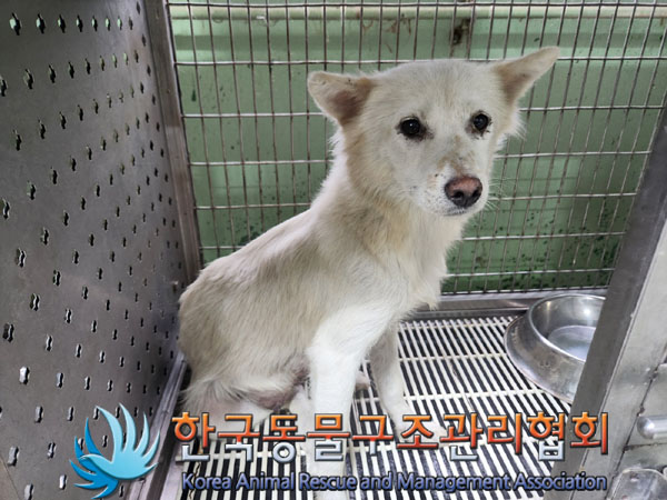 한국동물구조관리협회_441406202301194