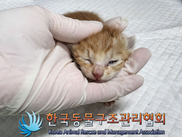 종료(자연사) 한국…